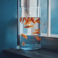 Avatar Bảo_Bối_789